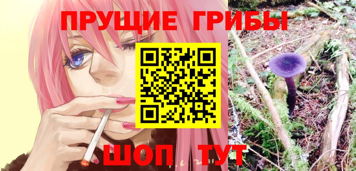 МЕФ Лангепас