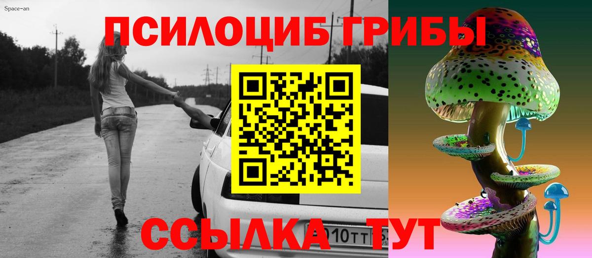Псилоцибиновые грибы Psilocybe  Вход с VPN  Лангепас 