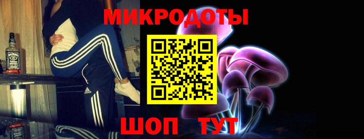 Галлюциногенные грибы Psilocybine cubensis Лангепас